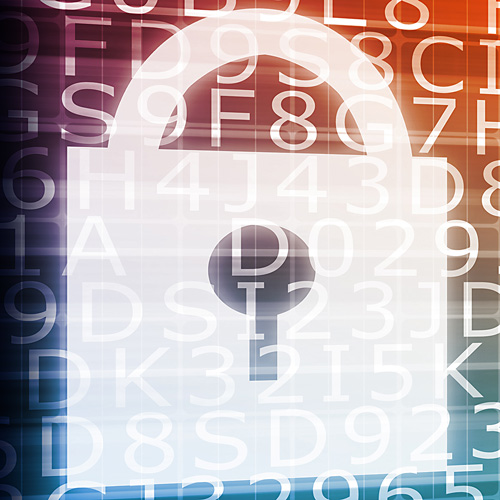 Website Hosting Maintenance Security