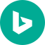bing(1)