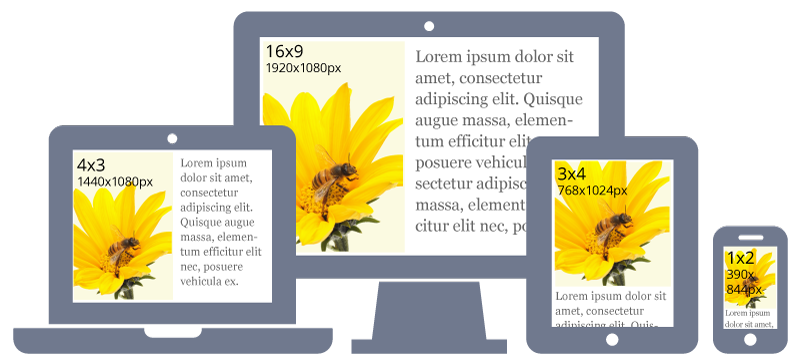 Mobile-Responsive Website Content